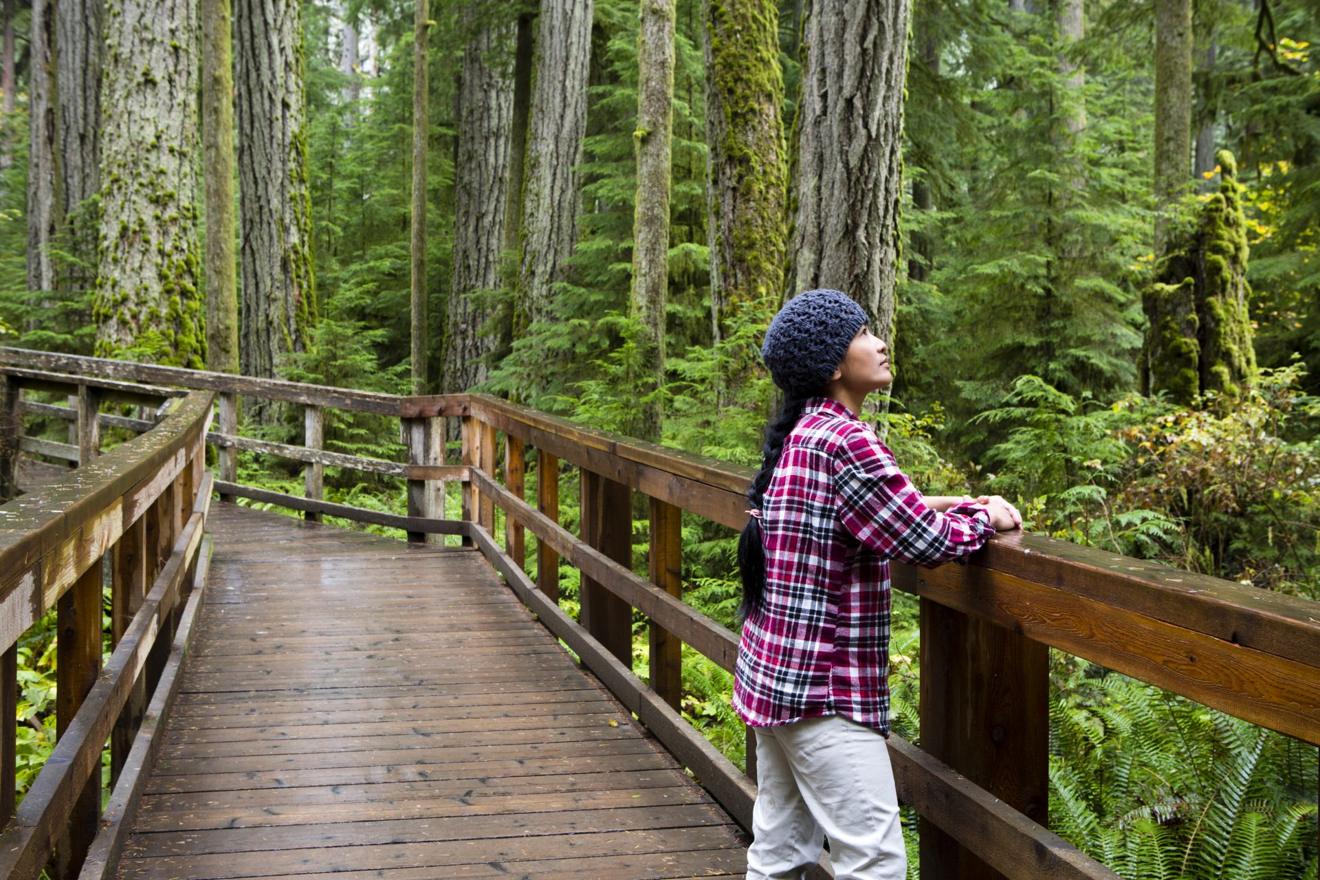 A visitor pauses on a forest boardwalk